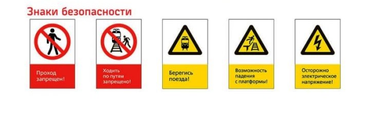 Приложение 1000387523 4.jpg